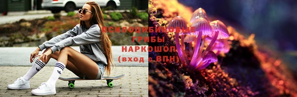 герыч Бугульма